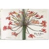 The Book Of Flowers