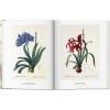 The Book Of Flowers