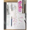 Botanical Sketchbooks an Artist's Guide to Plant Studies
