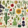Botanicum Jigsaw Puzzle, 1000 pieces