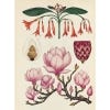 Botanicum poster 