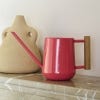 Indoor Watering Can, Coral