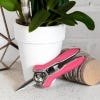 Houseplant Orchid Snips