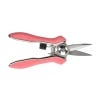 Houseplant Orchid Snips
