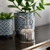 Stainless steel Indoor Plant Mister from Burgon & Ball, lifestyle image