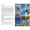 Field Guide to the Wild Flowers of the Canary Islands spread