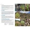Field Guide to the Wild Flowers of the Canary Islands spread