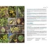 Field Guide to the Wild Flowers of the Canary Islands spread