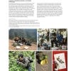 Chinese Medicinal Plants, Herbal Drugs and Substitutes: an Identification Guide - sample page