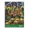 Christmas Cards Pack Festive Cacti