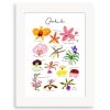 Framed Clara Orchids A3 Print