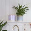 Copenhagen Two Tone Pink Planter from Ivyline