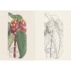 Kew Gardens Enchanting Flowers Colouring Book - inside pages