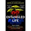 Front cover of the book, with black background and fungi in the forground