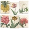 Felicity Aylieff Kew Archive Inspo Concertina Postcards