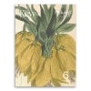 Felicity Aylieff Kew Archive Inspo Concertina Postcards