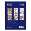 Felicity Aylieff Kew Archive Inspo Concertina Postcards