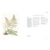 Flora Japonica - sample pages