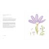 The Florilegium: The Royal Botanic Gardens Sydney Celebrating 200 Years -sample pages