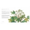 The Florilegium: The Royal Botanic Gardens Sydney Celebrating 200 Years -sample pages