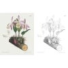 The Kew Gardens Flowering Plants Colouring Book - inside page