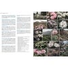Kew Guide to the Flowers of Western China - sample pages
