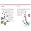 Concise Foraging Guide