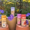 Kew Wildflowers Seedball Tube, Forget-me-not