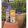Kew Wildflowers Seedball Tube, Cornflower