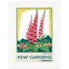 Foxgloves at Kew Gardens TFL A3 Print