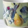 Close up image of the design for the light green Kew mug featuring fruit, such as a pear and strawberries.