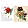 The Golden Age of Botanical Art 2018 edition - sample pages