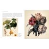 The Golden Age of Botanical Art 2018 edition - sample pages