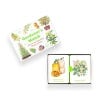Gardener s Match: A Fruit and Vegetable Memory Game