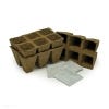 Grow Your Own Vegetable Greenhouse Starter Kit