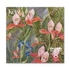 Marianne North Orchid Greeting Cards, Pack of 8
