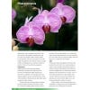 Growing Orchids at Home, Second Edition - sample page