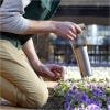 Hand Held Bulb Planter, lifestyle image
