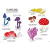 Hello Fungi, A Little Guide to Nature - 2 internal pages of the book