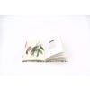 Kew Pocketbooks: Herbs & Spices -sample page