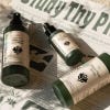 House Plant Discovery Set Trio, lifestyle image