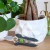 Houseplant Pruner
