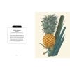 Kew Pocketbooks: Houseplants - sample pages