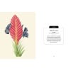 Kew Pocketbooks: Houseplants - sample pages