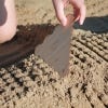 Huckleberry Bamboo Sand Tools, lifestyle image