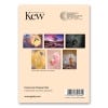 IGPOTY Collection 2024 Concertina Postcards, back cover