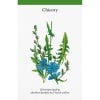 A Cabinet Full of Medicinal Plants Chicory illustration card
