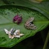 Lifestyle image of the Butterfly Brooch 