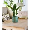 Kew Meadow Planter 18cm, Olive