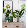 Kew Stoneware Meadow Planter 18cm, Ivory